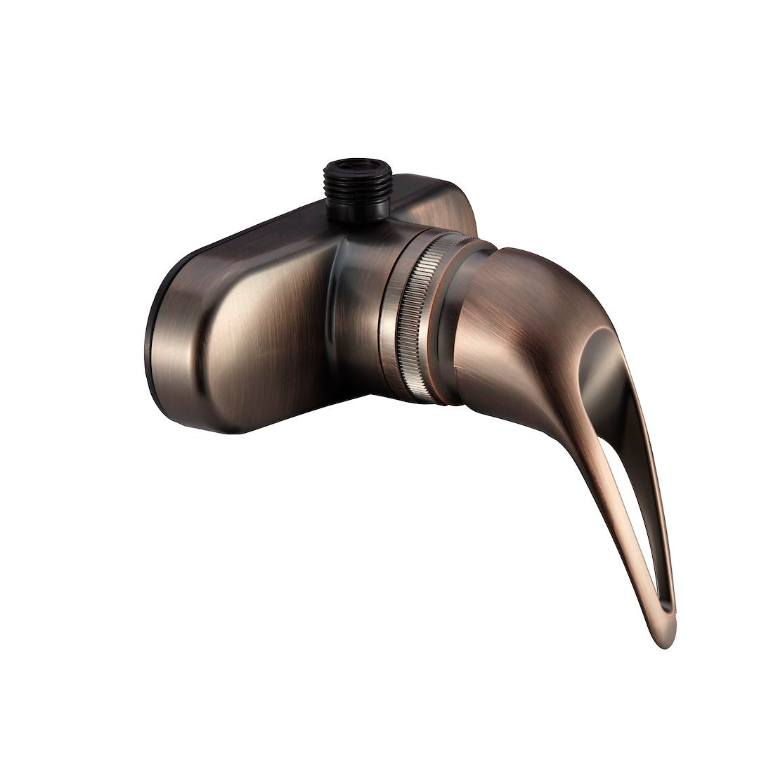 SINGLE LEVER RV SHOWER