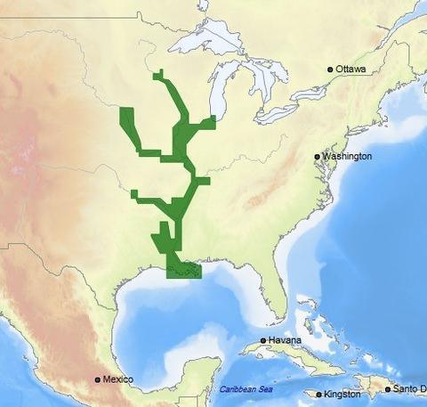 C-MAP M-NA-D038 4D microSD US Rivers MS, Red, AR Ouachita, IL, MO - Boat Gear USA