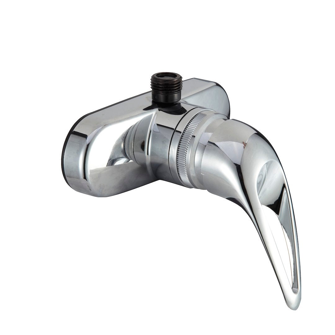 SINGLE LEVER RV SHOWER