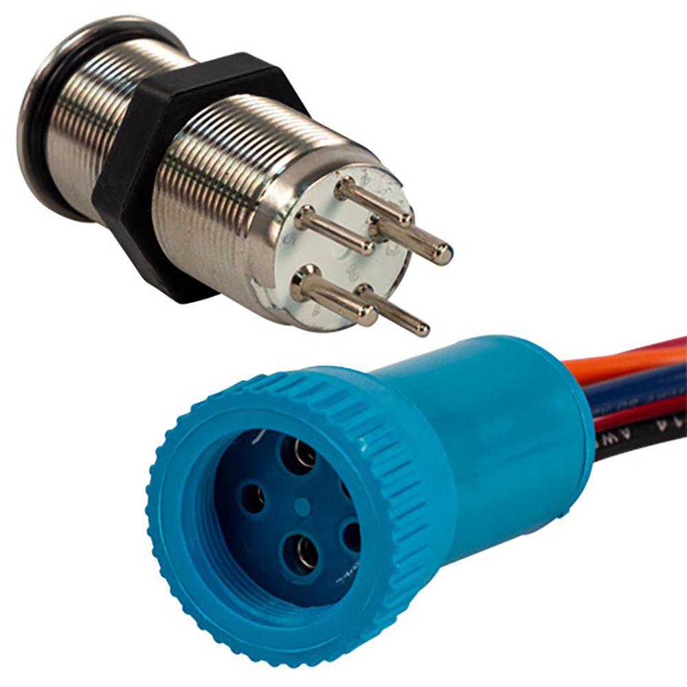 Bluewater 19mm In Rush Push Button Switch - Off/(On) Momentary Contact - Blue/Red LED - Boat Gear USA