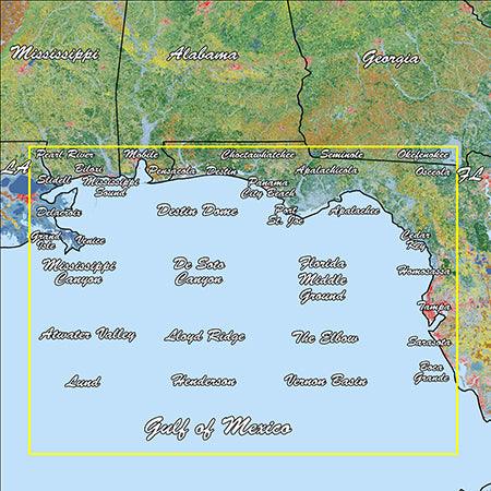 Garmin Gulf Coast Standard Mapping Professional - Boat Gear USA