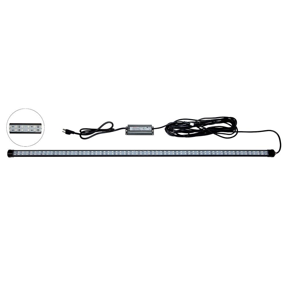 Hydro Glow DM260B 40W/120VAC Dock Mounted Fishing Light - Blue - Boat Gear USA