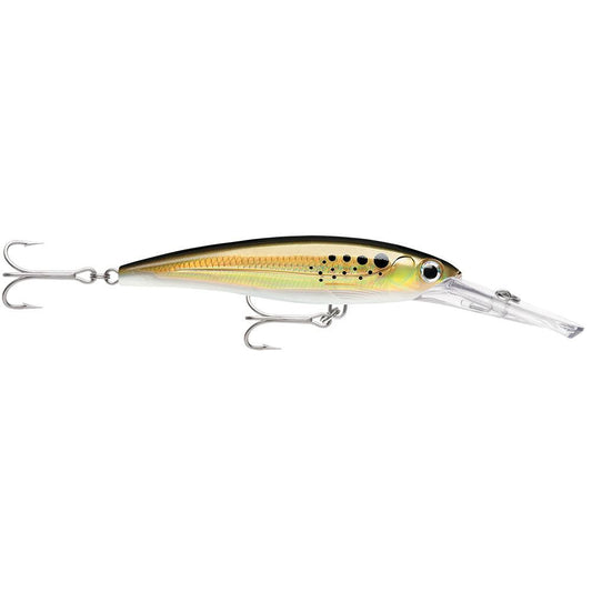 Rapala X-Rap® Magnum® 15 Bunker - Boat Gear USA