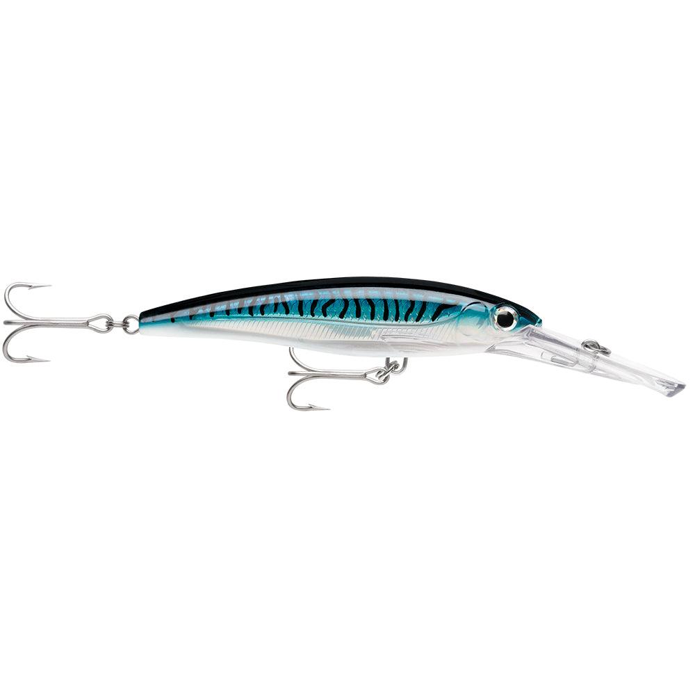 Rapala X-Rap® Magnum® 15 Silver Blue Mackerel - Boat Gear USA